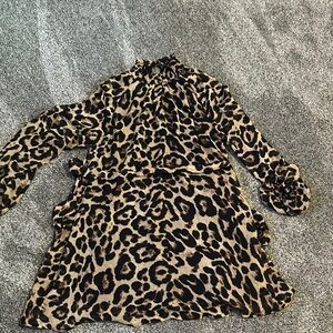 Leopard Print Long Sleeve Dress